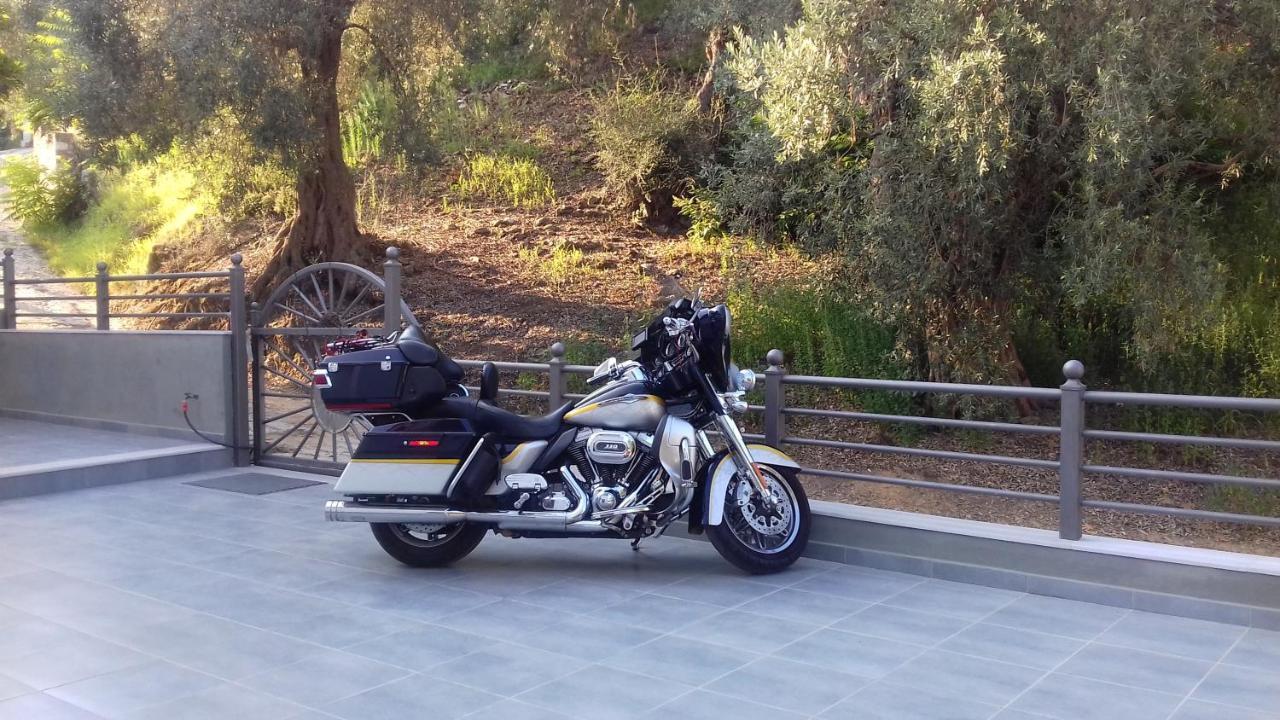 דירות פלאטניאס Aurora מראה חיצוני תמונה